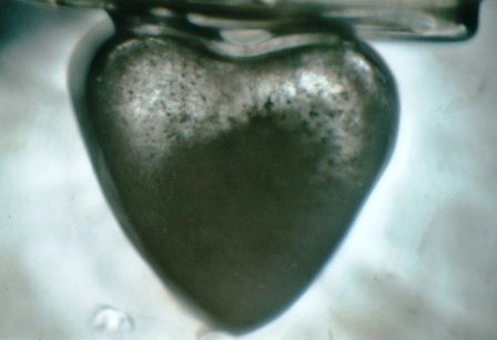 Cuore prezioso gemello 